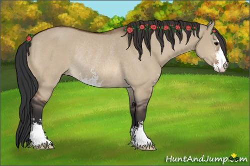 Horse Color:Bay Dun Sabino Rabicano