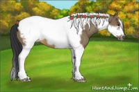 Horse Color:Brown Roan Dun Tobiano Frame