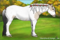 Horse Color:Bay Roan Dun Tobiano Frame Rabicano