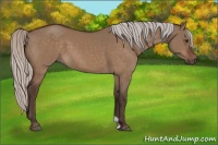 Horse Color:Silver Brown Dun