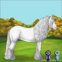 Horse Color:Gold Champagne Chinchilla