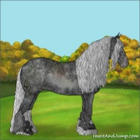 Horse Color:Silver Classic Champagne Chinchilla Ice Rabicano
