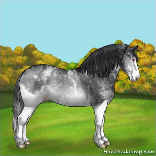 Horse Color:White Spotted Brown Chinchilla Splash