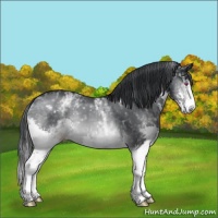 Horse Color:White Spotted Brown Chinchilla Splash 
