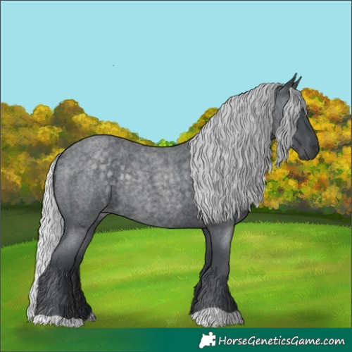 Horse Color:Silver Blue Chinchilla Roan Rabicano 