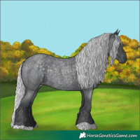Horse Color:Silver Blue Chinchilla Roan Rabicano 
