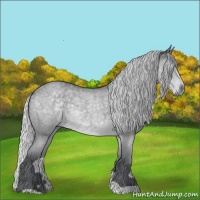 Horse Color:Silver Blue Chinchilla Roan 