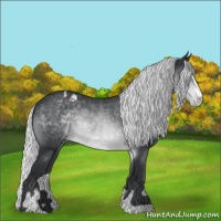 Horse Color:Silver Brown Chinchilla Sabino Varnish 