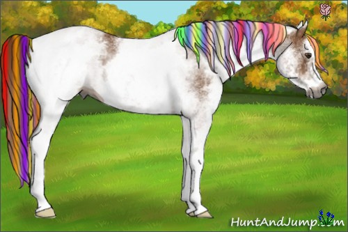 Horse Color:Gray Painted White Spotted Chestnut 