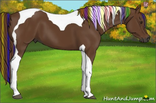 Horse Color:Gray Painted Chestnut Tobiano 