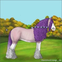 Horse Color:Watercolor Amber Cream Champagne Splash Rabicano
