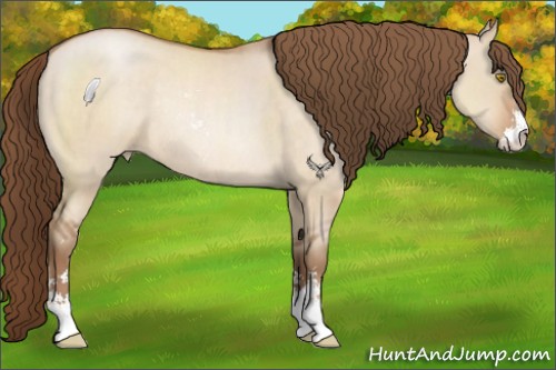 Horse Color:Brown Roan Pearl Dun Sabino Rabicano
