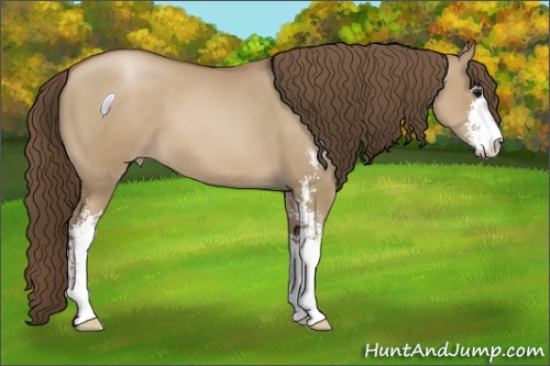 Horse Color:Grullo Pearl Sabino 