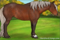 Horse Color:Silver Brown Rabicano 