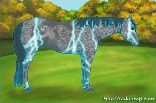 Horse Color:Thunderstruck Black Ice