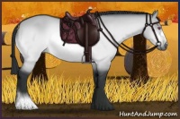 Horse Color:Bay Chinchilla Dun 