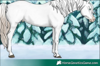 Horse Color:White Spotted Liver Chestnut Pearl Appaloosa