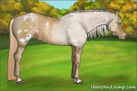Horse Color:White Spotted Liver Chestnut Pearl Snowflake Varnish
