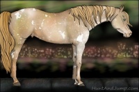 Horse Color:White Spotted Liver Chestnut Pearl Appaloosa