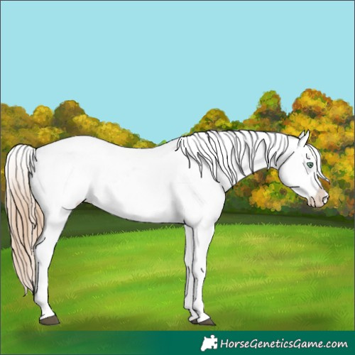 Horse Color:White Spotted Liver Chestnut Pearl Snowflake Varnish