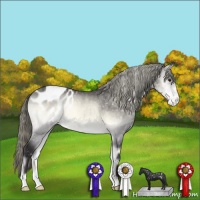 Horse Color:Buckskin Chinchilla Onyx Appaloosa 