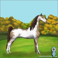 Horse Color:Liver Red Dun Frame Varnish