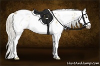Horse Color:Silver Buckskin Dun Sabino Splash 