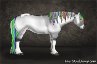 Horse Color:Painted White Spotted Silver Grullo Chinchilla Onyx Tobiano