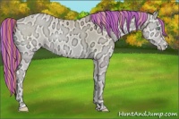 Horse Color:Painted Buckskin Ice Pearl Onyx 