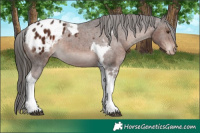 Horse Color:Liver Chestnut Tobiano Varnish 