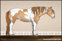 Horse Color:Gold Champagne Tobiano 
