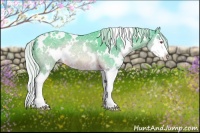 Horse Color:Watercolor White Spotted Silver Brown Chinchilla Ice Splash Rabicano