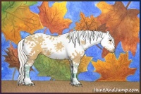 Horse Color:Watercolor White Spotted Silver Bay Dun Splash Tobiano Frame Rabicano