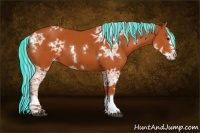 Horse Color:Painted White Spotted Silver Bay Ice Splash 