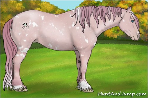 Horse Color:Watercolor White Spotted Buckskin Pearl Sabino 