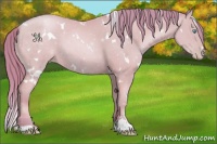 Horse Color:Watercolor White Spotted Buckskin Pearl Sabino 