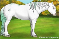 Horse Color:Watercolor Black Ice Sabino Splash 