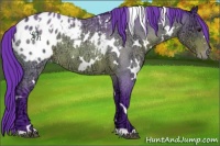 Horse Color:Watercolor White Spotted Brown Ice Roan Appaloosa 