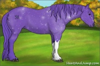 Horse Color:Watercolor Black 