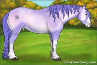 Horse Color:Watercolor Bay Pearl Onyx 