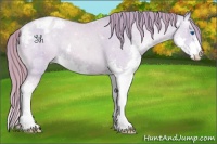 Horse Color:Watercolor Buckskin Pearl Splash Varnish