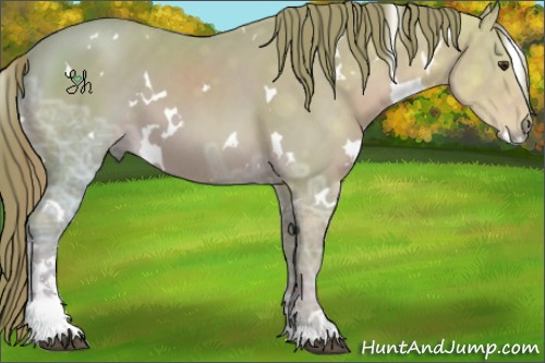 Horse Color:Watercolor White Spotted Chestnut Ice Sabino 