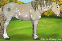Horse Color:Watercolor White Spotted Chestnut Ice Sabino