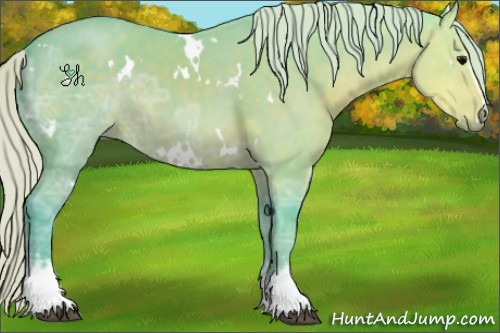 Horse Color:Watercolor White Spotted Silver Black Ice 