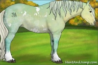 Horse Color:Watercolor White Spotted Silver Black Ice