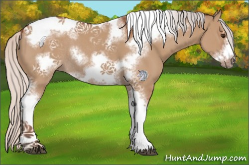 Horse Color:Silver Bay Dun Sabino Tobiano Frame Rabicano 