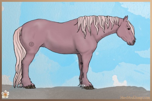 Horse Color:Watercolor Silver Black 