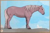Horse Color:Watercolor Silver Black 