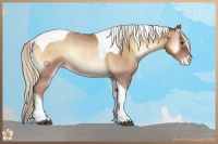 Horse Color:Silver Brown Roan Pearl Onyx Tobiano