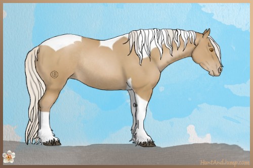 Horse Color:Silver Black Pearl Tobiano Rabicano